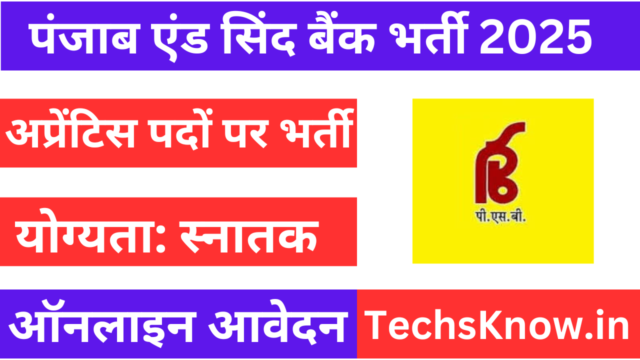 Punjab & Sind Bank Requirement 2025