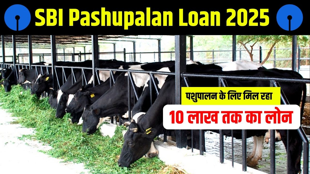 SBI Pashupalan Loan